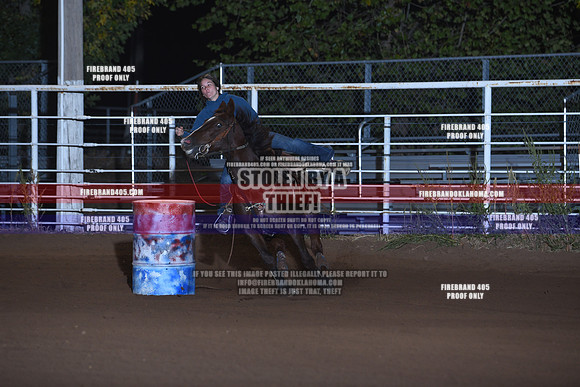 SFR_2006