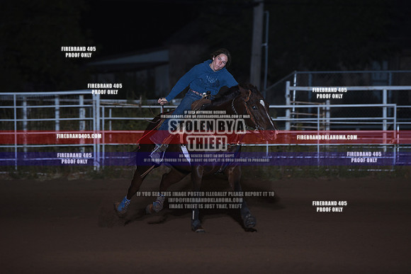 SFR_2015
