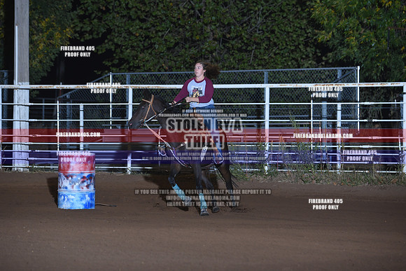 SFR_2019