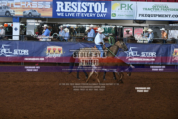 AS3_0239