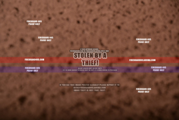 C02_3176