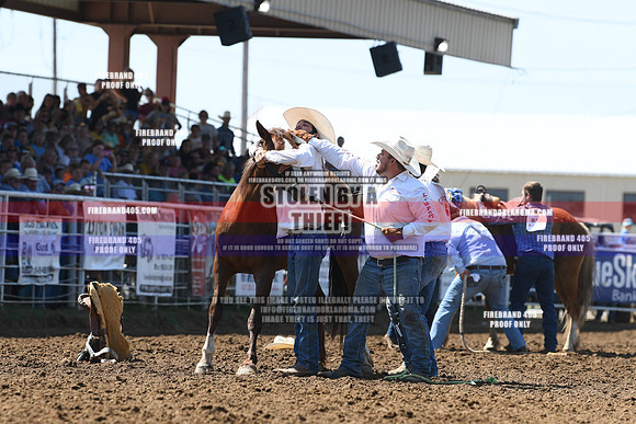 KKK_7265