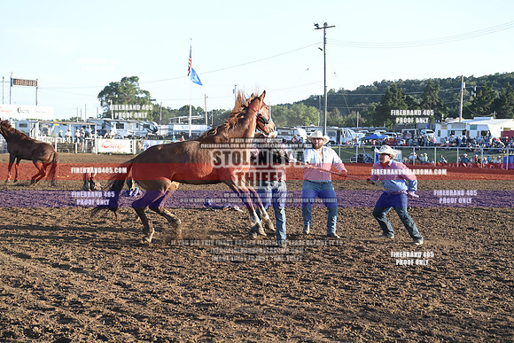 FF2_0963