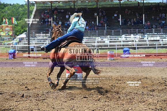 HHH_9115