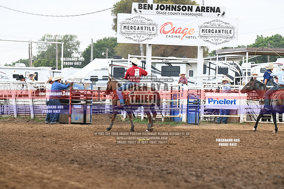 C1J_1197