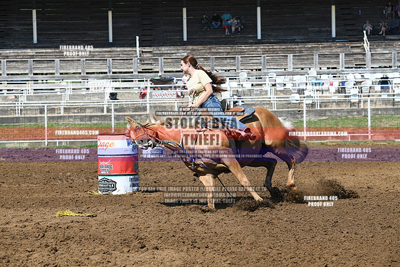 C1D_1175