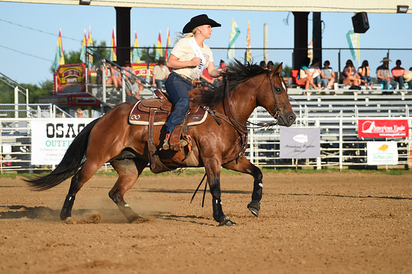 RDR_1099