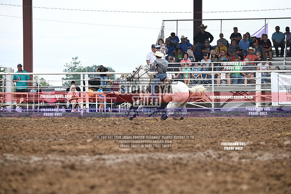 C1Q_2235