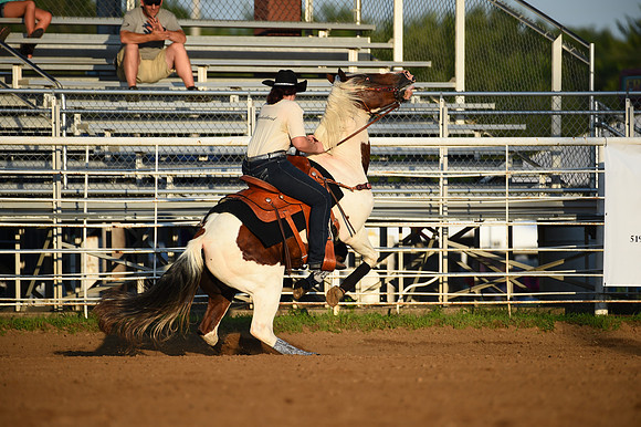RDR_1238