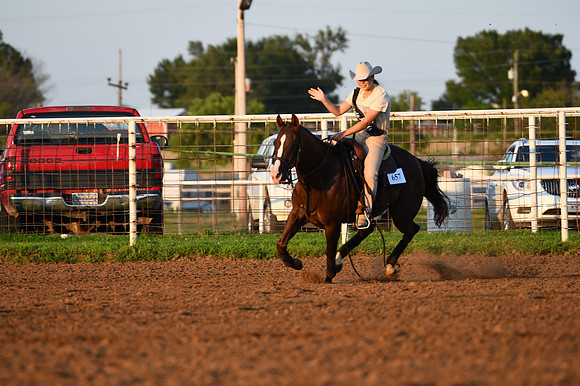 RDR_1493