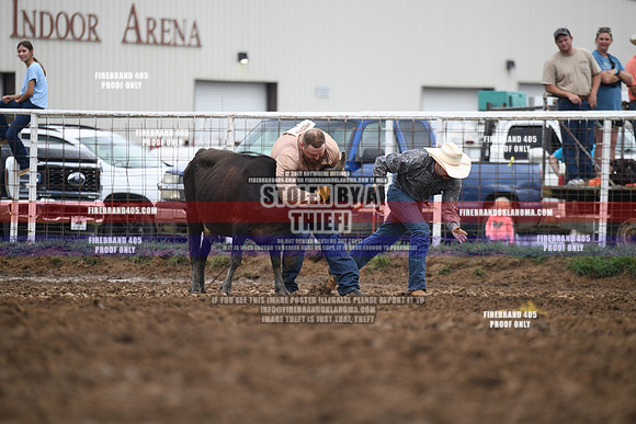 C1Q_2284