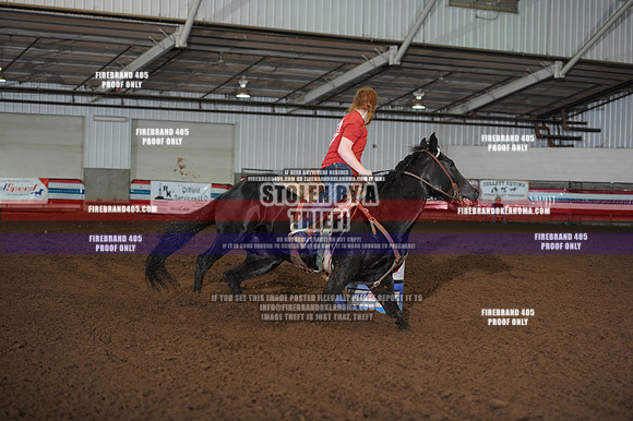 cgj_1295