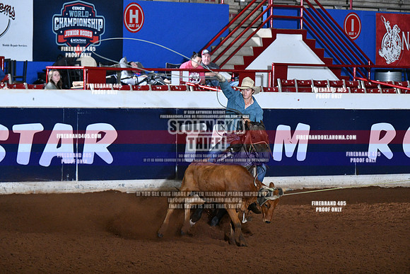 AS6_6599