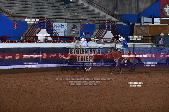AS5_1831