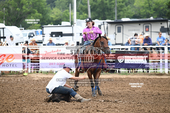 C1Q_1586
