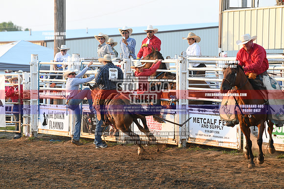 C1G_1369