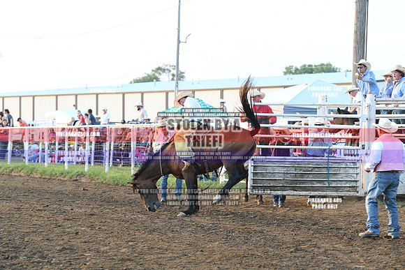 C1G_1283